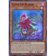 SR07-EN003 Glow-Up Bloom Super Rare