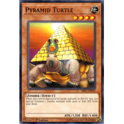 SR07-EN015 Pyramid Turtle Commune