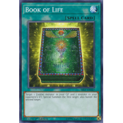 SR07-EN027 Book of Life Commune