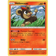 SS10_119/189 Évoli - PoKéMoN