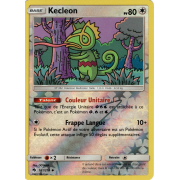 SL08_161/214 Kecleon Inverse