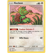 SL08_162/214 Kecleon Peu commune