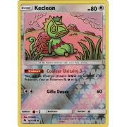 SL08_162/214 Kecleon Inverse