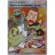 SL08_213/214 Cours du Professeur Orme Full Art Ultra Rare