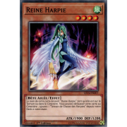 LED4-FR007 Reine Harpie Commune