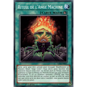 LED4-FR021 Rituel de l'Ange Machine Commune