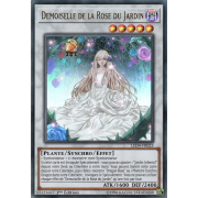 LED4-FR023 Demoiselle de la Rose du Jardin Ultra Rare