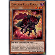 LED4-FR025 Dragon Rose Rouge Rare