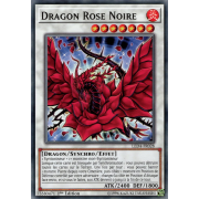 LED4-FR028 Dragon Rose Noire Commune