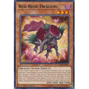 LED4-EN025 Red Rose Dragon Rare