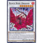 LED4-EN028 Black Rose Dragon Commune