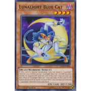 LED4-EN050 Lunalight Blue Cat Commune