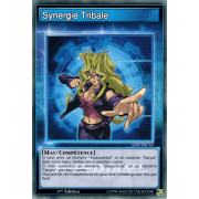 SS02-FRCS3 Synergie Tribale Commune