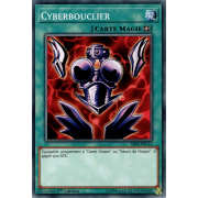 SS02-FRC12 Cyberbouclier Commune