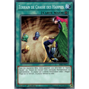 SS02-FRC13 Terrain de Chasse des Harpies Commune