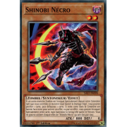 SAST-FR098 Shinobi Nécro Commune