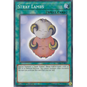 SS02-ENB12 Stray Lambs Commune