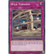 SS02-ENC18 Wild Tornado Commune