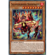 SDSB-FR006 Salamangrande Bisonfrappe Commune