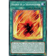 SDSB-FR026 Volonté de la Salamangrande Commune