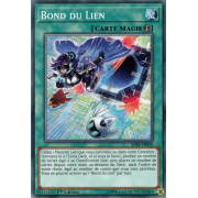 SDSB-FR030 Bond du Lien Commune