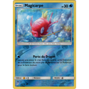 SL09_29/181 Magicarpe Inverse