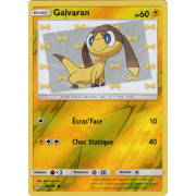 SL09_49/181 Galvaran Inverse