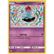 SL09_60/181 Tentacool Commune