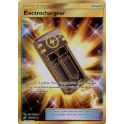 SL09_193/181 Électrochargeur Secret Rare