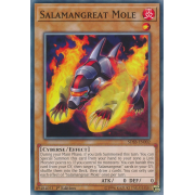 SDSB-EN002 Salamangreat Mole Commune