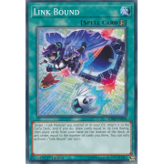 SDSB-EN030 Link Bound Commune