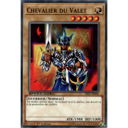 SBLS-FR006 Chevalier du Valet Commune