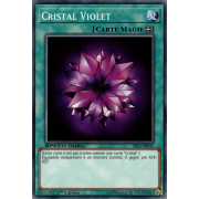 SBLS-FR035 Cristal Violet Commune