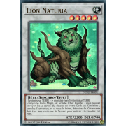 DUPO-FR091 Lion Naturia Ultra Rare
