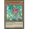 DUPO-EN081 High Priestess of Prophecy Ultra Rare