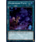 SR08-EN041 Dwimmered Path Super Rare