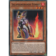 DANE-FR003 Salamangrande Fennec Commune