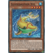 DANE-FR023 Glissedauphin Xyz Commune