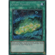 DANE-FR051 Cynet Minage Secret Rare