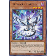 DANE-EN001 Firewall Guardian Commune