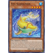 DANE-EN023 Xyz Slidolphin Commune