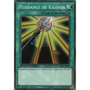 SBAD-FR030 Puissance de Kaishin Commune