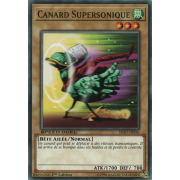 SBAD-FR036 Canard Supersonique Commune