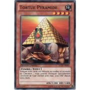 GLD5-FR003 Tortue Pyramide Commune