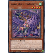 RIRA-FR020 Simorgh, l'Oiseau de la Protection Commune