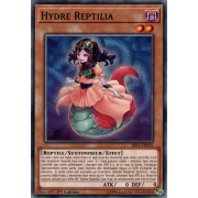 RIRA-FR025 Hydre Reptilia Commune