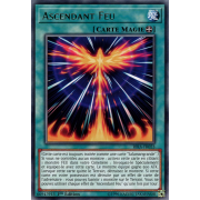 RIRA-FR053 Ascendant Feu Rare