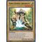 GAOV-EN000 Noble Knight Artorigus Super Rare