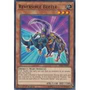 RIRA-EN035 Reversible Beetle Commune