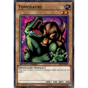 SS03-FRA05 Tomosaure Commune